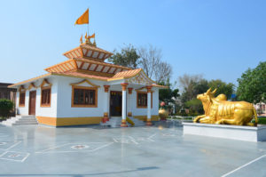 Pashupati Nath Temple-Anand Dham Ashram-New Delhi-Vishwa Jagriti Mission-Sudhanshu Ji Maharaj