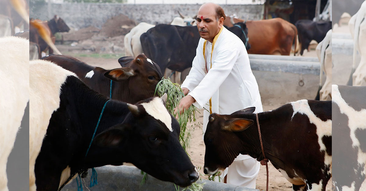 Donation Gau-Seva-Sudhanshuji Maharaj