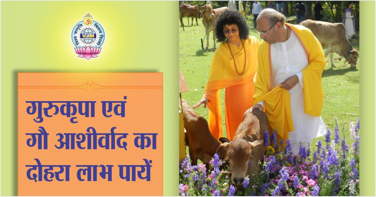 Get double benefit of Gurukrupa and cow blessings