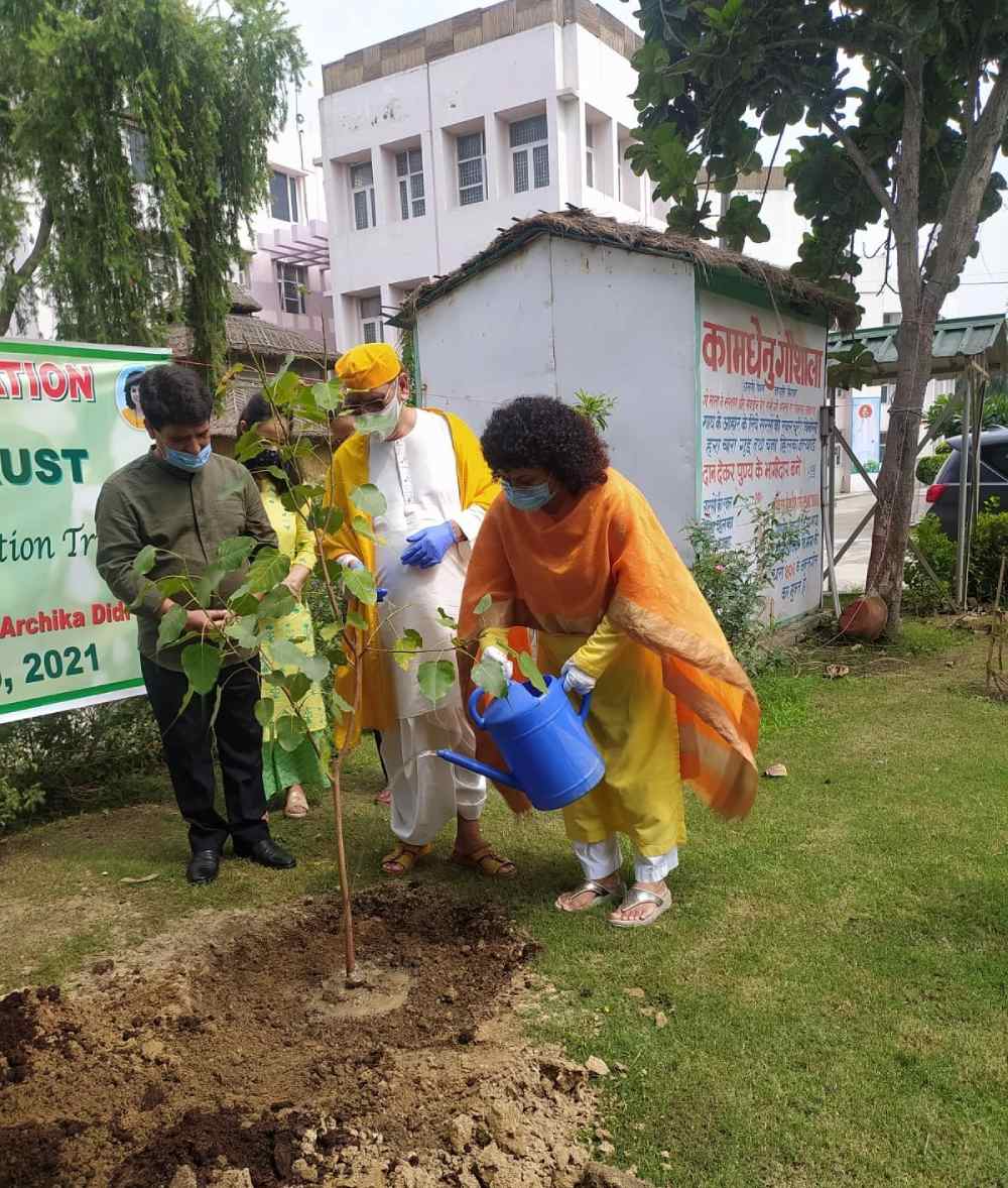 Tree plantation drive