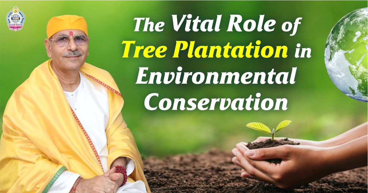 Tree Plantation Drive